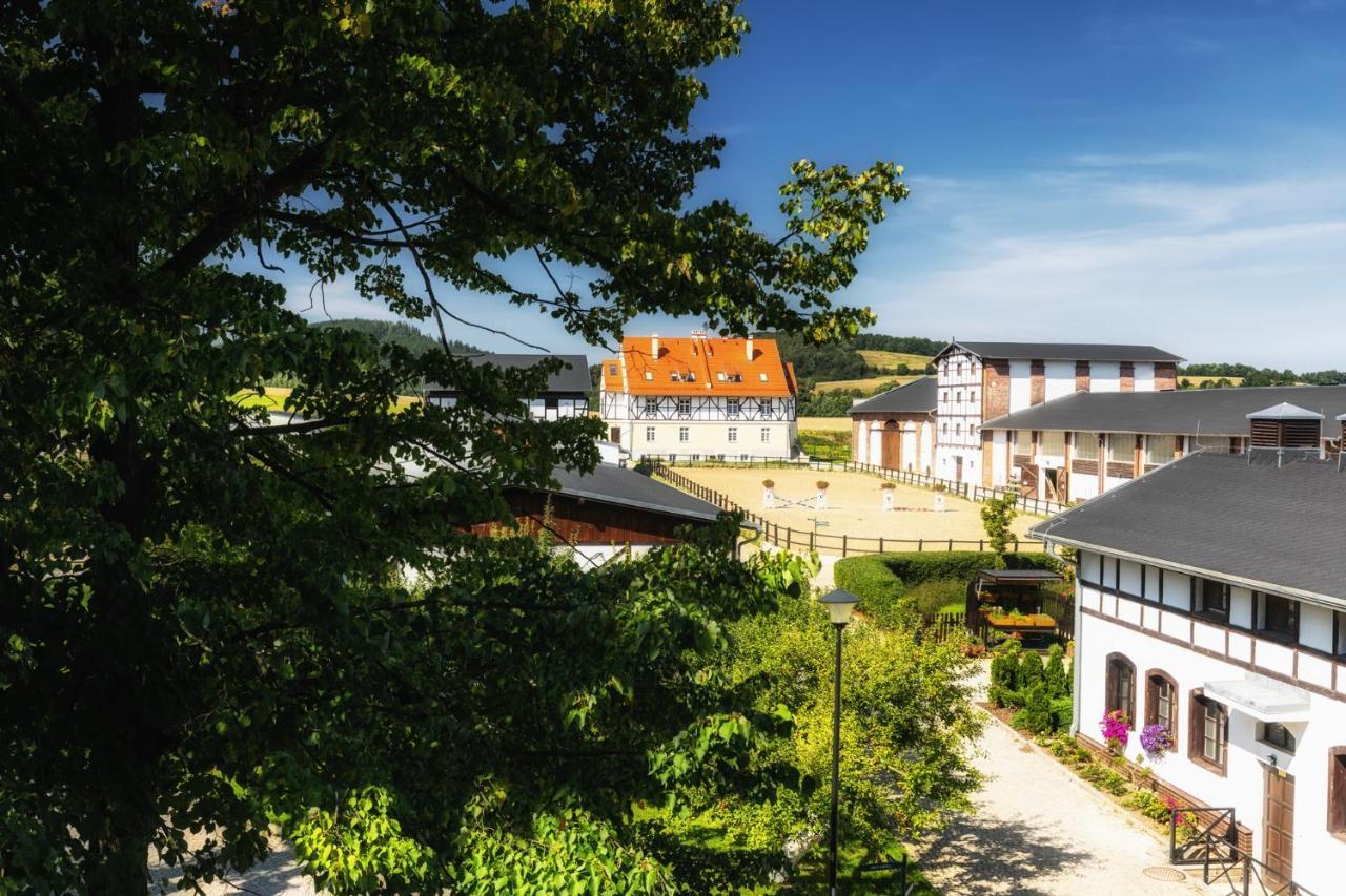 Dworzysko Hotel Szczawno-Zdroj Exterior photo
